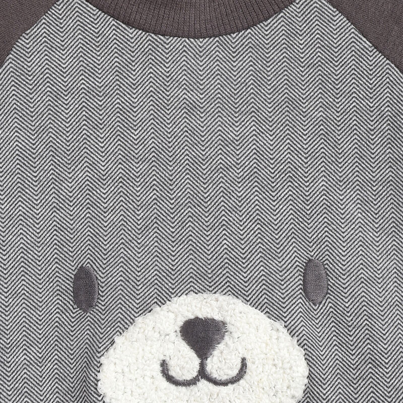 Boys Medium Grey Applique Sweatshirt with Trouser image number 4
